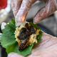 Lettuce wrap full of cicadas